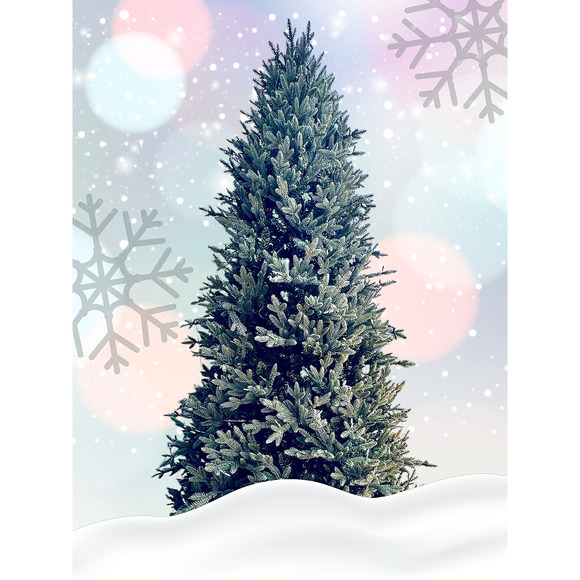 Costco Artificial ****SOLD***** - Picture 3 of 16